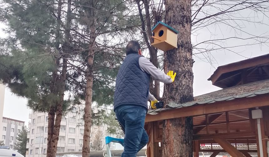 Atık Malzemeler Kuş Yuvasına Dönüştü