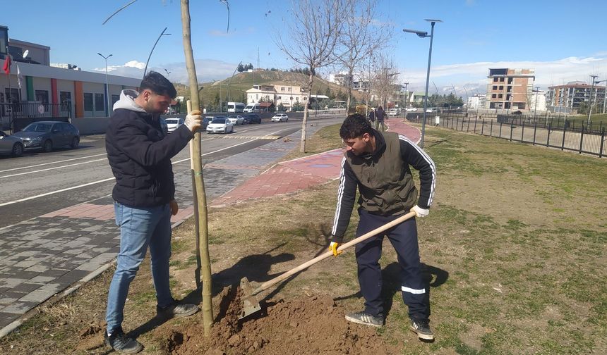 Batman’da Fidan Seferberliği