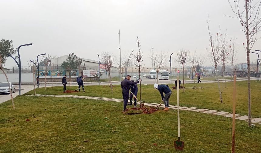 Batman’da Fidanlar Toprakla Buluşuyor