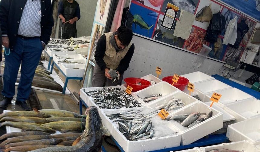 Batman’da balık mesaisi başladı