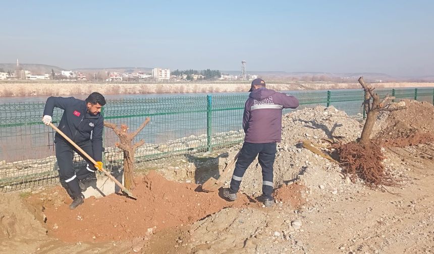 2 bin meyve ağacıyla kent doğaya kavuşur mu?