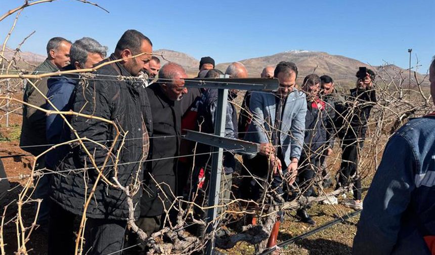 Gercüş Bağlarında Modernizasyon İçin İlk Adım Atıldı