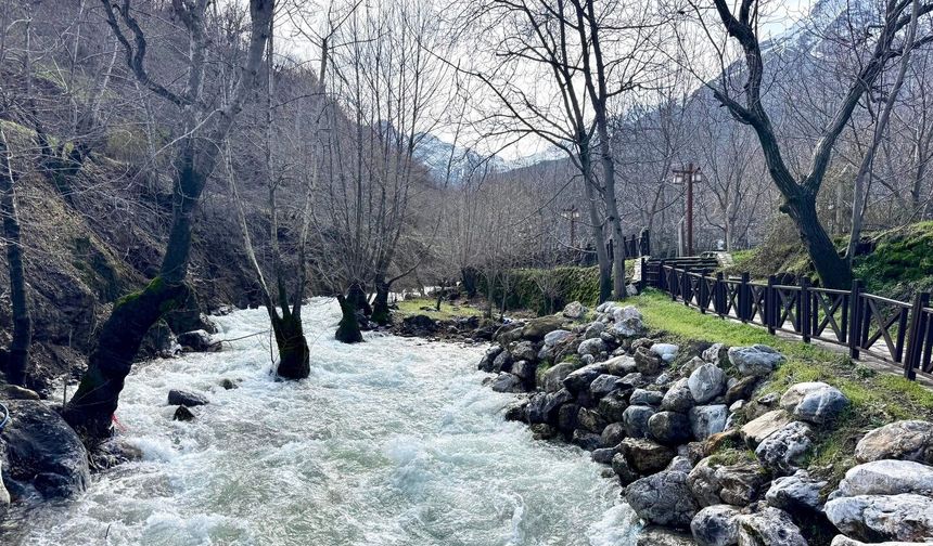 Sevek Baharla Yeniden Canlandı: Bu Güzelliği Görmeye Hazır mısınız?