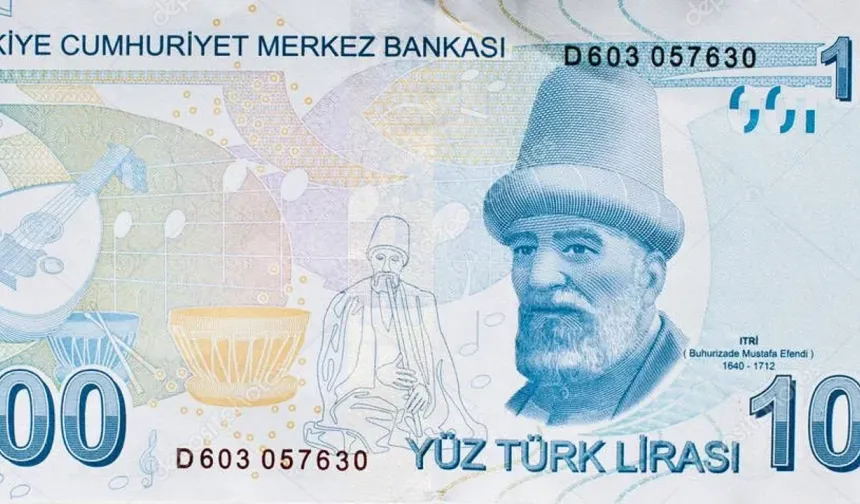 100 TL' nin arkasında kim var?