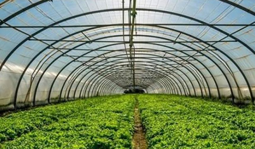 %50 Hibe Fırsatı! Batman’da Seracılıkta Yeni Dönem Başladı