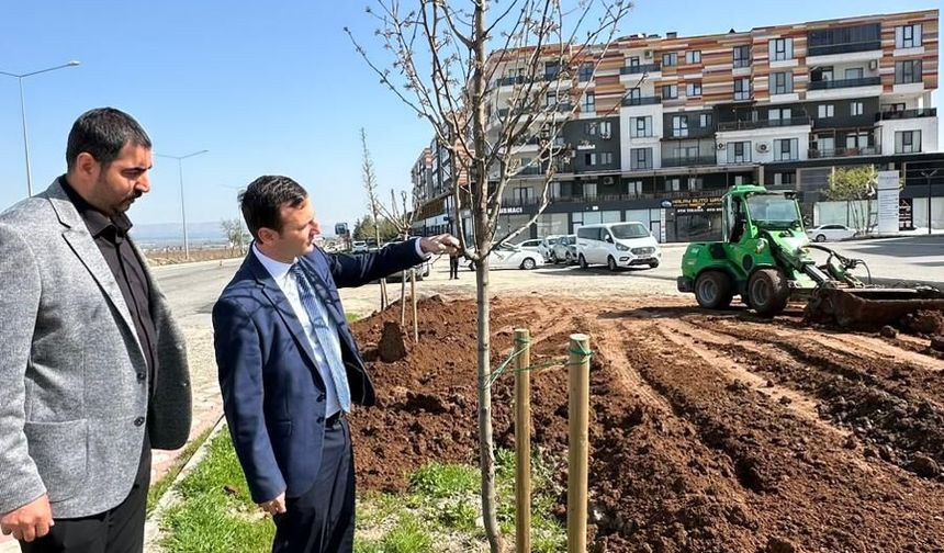 6 Kilometrelik Yeşil Dokunuş: Batman’ın Girişine Modern ve Estetik Kimlik