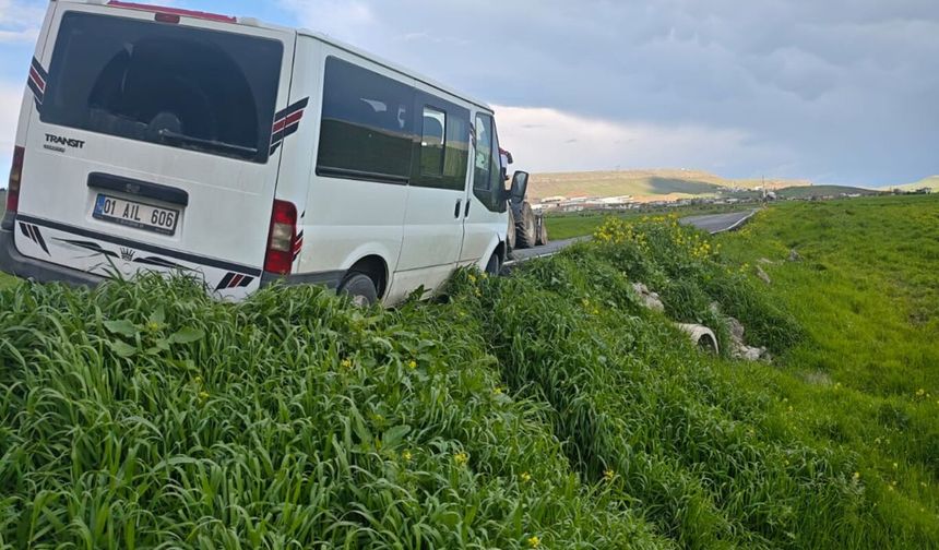 Başıboş Köpekler Panik Yarattı: Sürücü Kazadan Son Anda Kurtulamadı