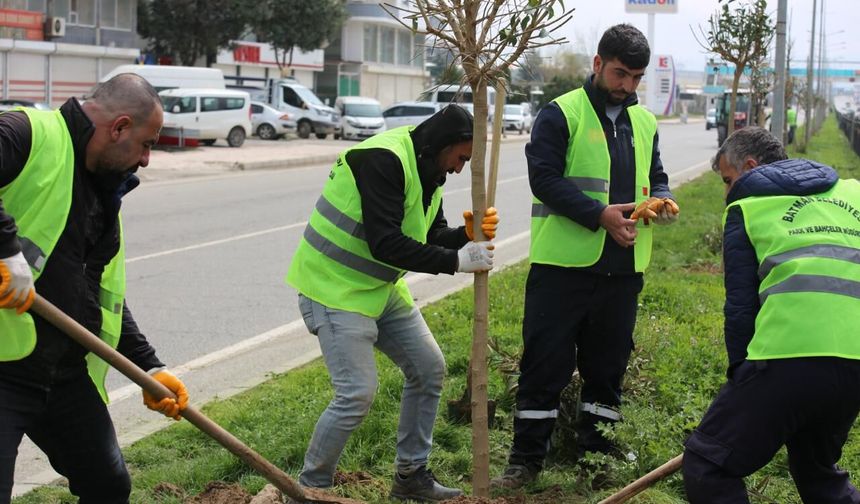 Batman’a 900 Yeni Nefes: Ağaçlandırma Seferberliği Sürüyor