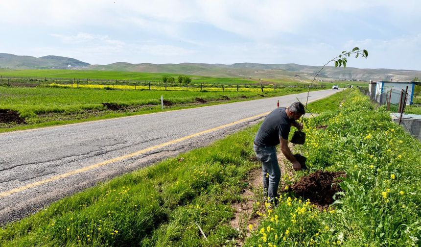 Batman’da 7 Köyün Yolları Meyve Ağaçlarıyla Donatıldı
