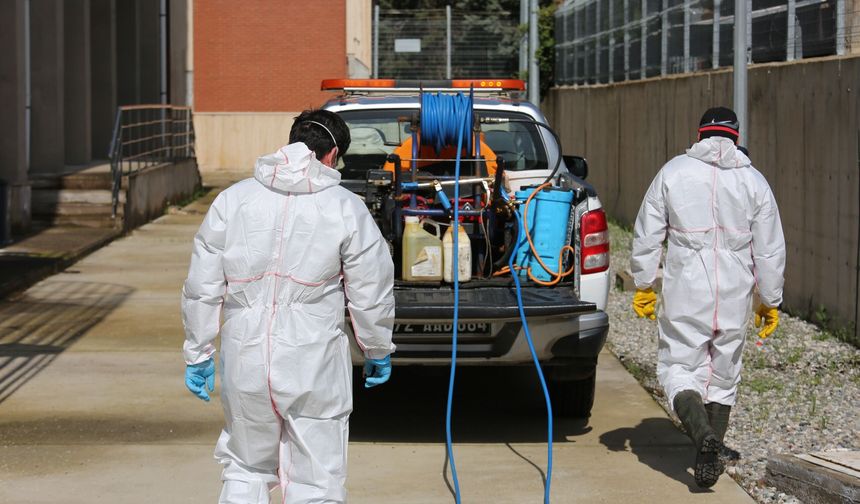 Batman’da Haşereye Karşı Seferberlik