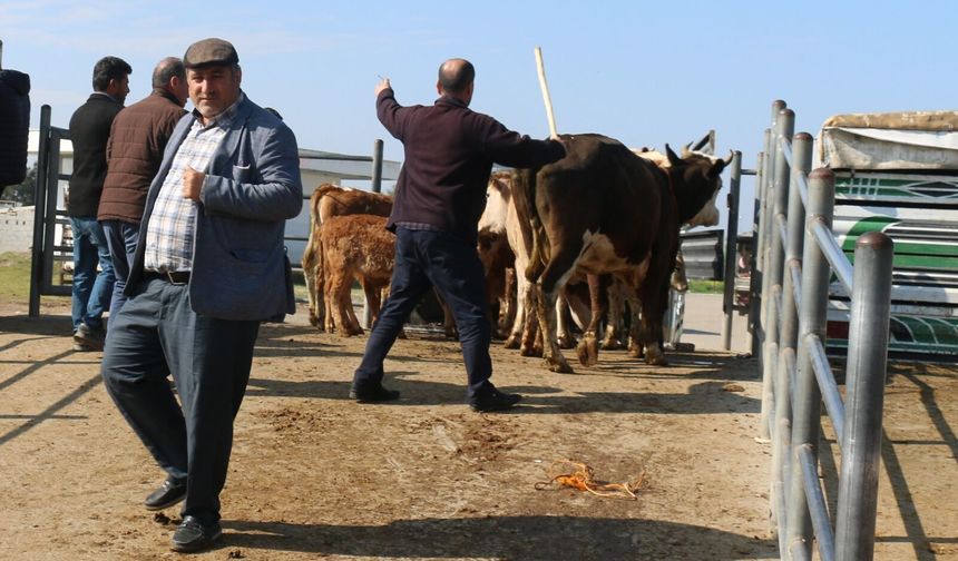 Batman’da Kurbanlıklar Görücüye Çıktı, Denetimler Sıkılaştırıldı