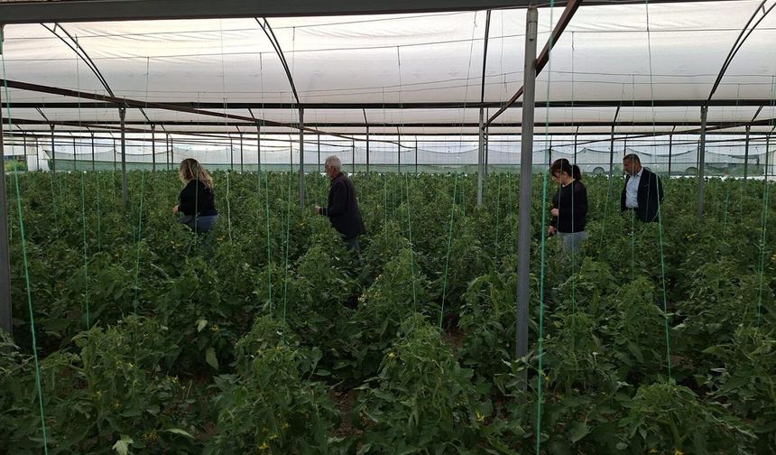 Batman’da Sera Alarmı: Yoğun Yağış Hastalık ve Zararlı Riskini Artırdı!