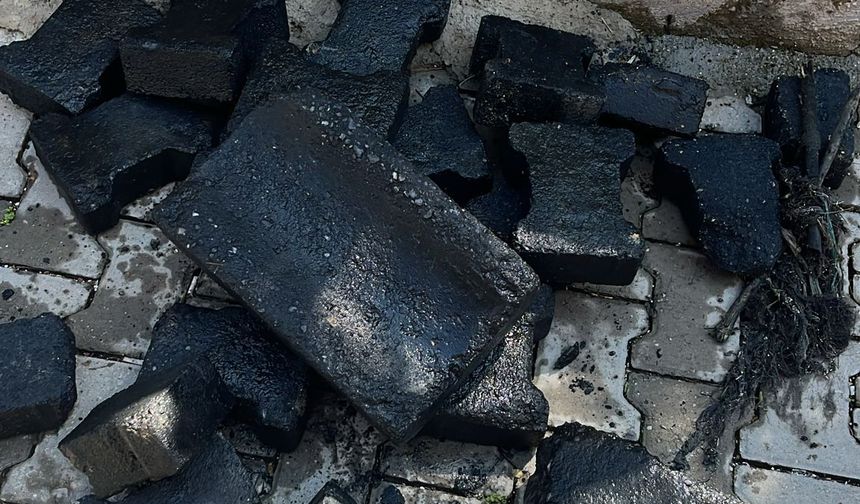 Mazgallara Atılanlar Şoke Etti: Bu Görüntüler Ders Olacak mı?