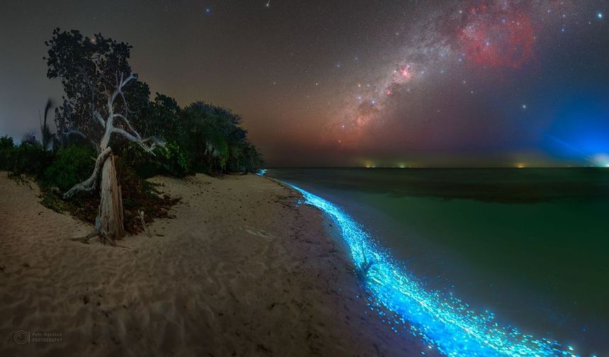 Nisan 2026 Güncel Rehber Sea of Stars APK Nasıl İndirilir? Son Sürüm