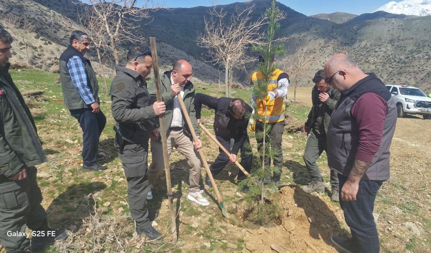 Şehitler İçin Toprakta Yaşayan Vefa: Batman’da “Hatıra Ormanı” Oluşturuldu