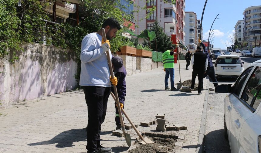 Solin Caddesi Yeşile Bürünüyor: 100 Tespih Ağacı Yolda