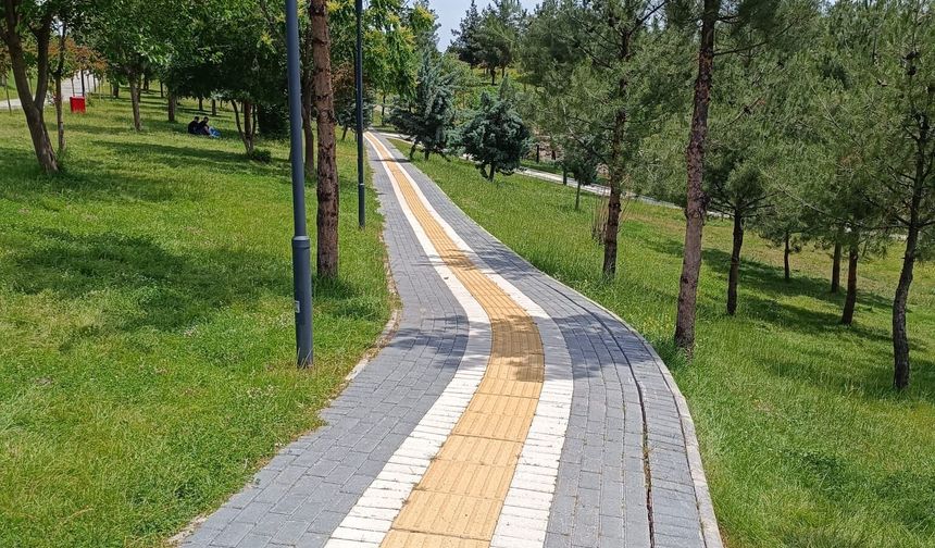 224 Parkta Temizlik ve Bakım Yapıldı
