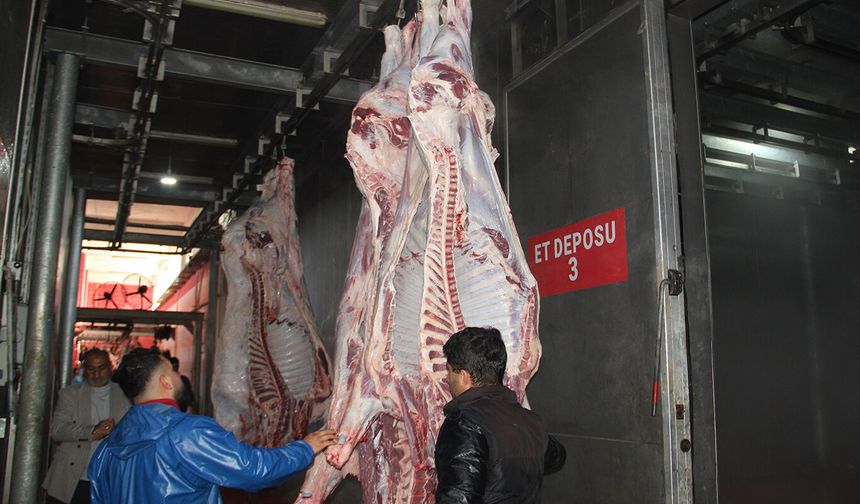 Batman Mezbahası’nda Kurban Bayramı Seferberliği: Günlük Binlerce Kesime Hazır