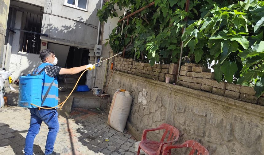 Bayram Boyunca İlaçlama Devam Edecek