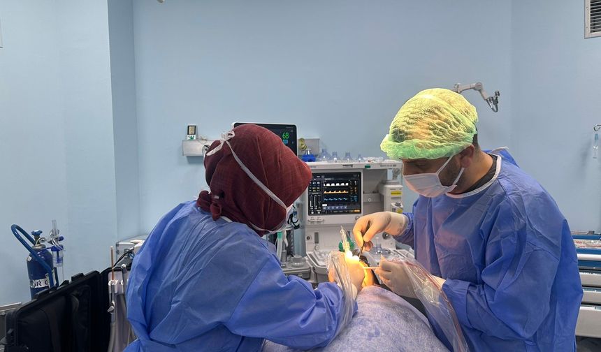 Burun Tabanında Gömülü Diş Şaşkınlığı