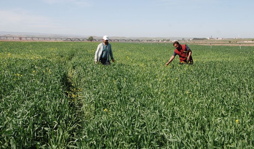 Çiftçi Alarm Veriyor: Mazot ve Gübre Fiyatları Kontrol Altına Alınmalı