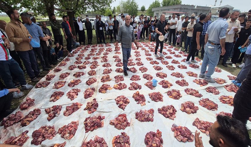 Çınar’da Örnek Dayanışma: Kurban Etleri Tek Merkezde Toplanıp Her Eve Eşit Dağıtılıyor