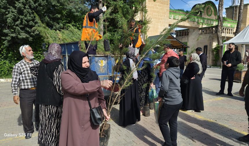 Mezarlıkta Yeşeren Umut: Geleceğe Nefes İçin Fidan Seferberliği