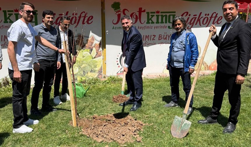 Teknolojiyle Yeşil Gelecek Buluştu: Festivalde Fidanlar Toprakla Buluştu!