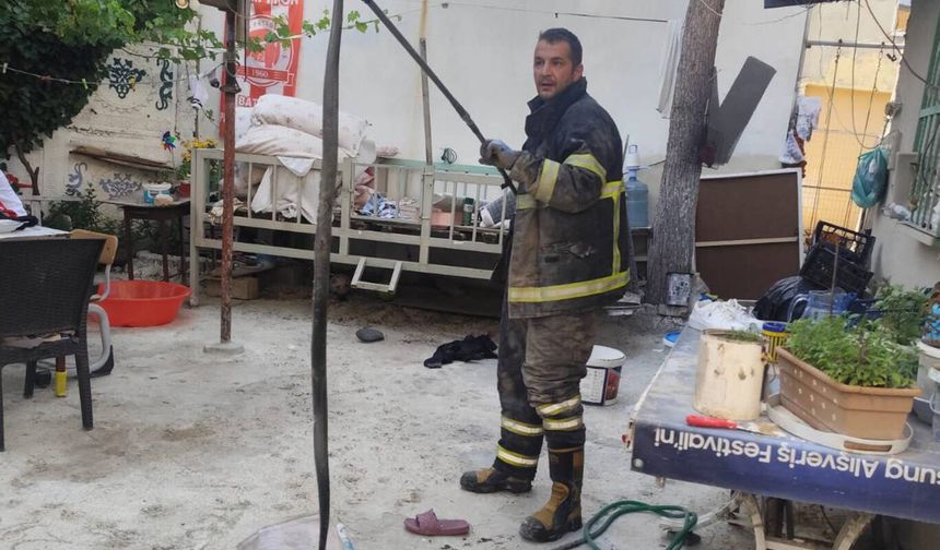 2 metre uzunluğunda yılan yakalanarak doğaya bırakıldı