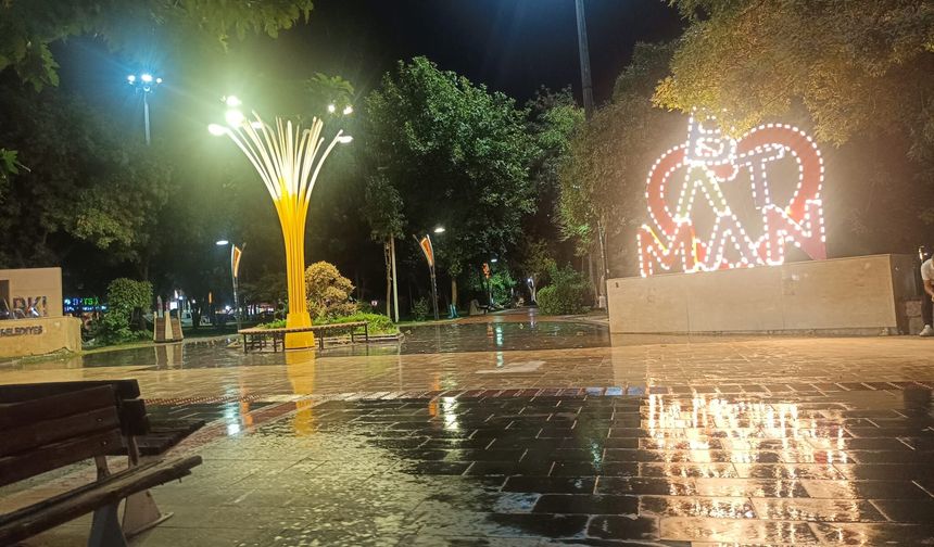 34 Parkta Dev Aydınlatma Hamlesi