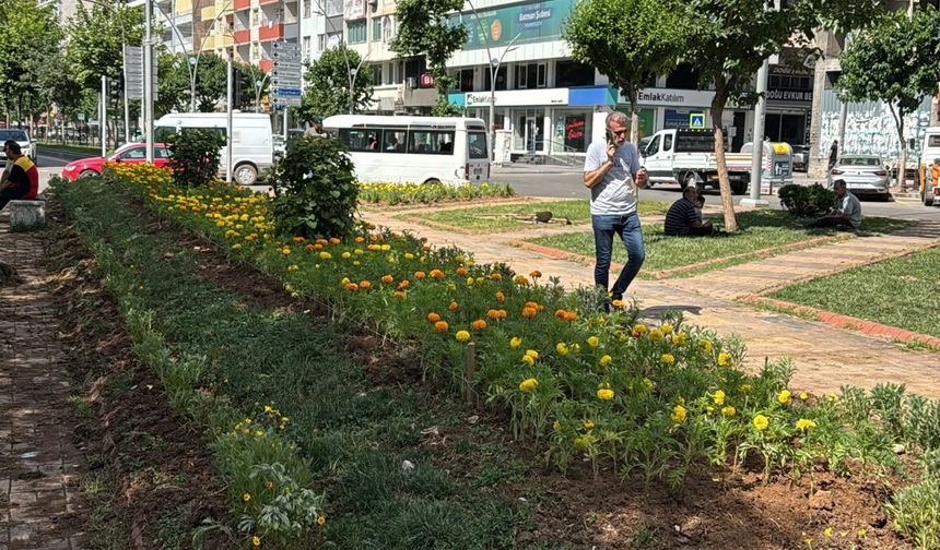 Batman Çiçek Kokacak