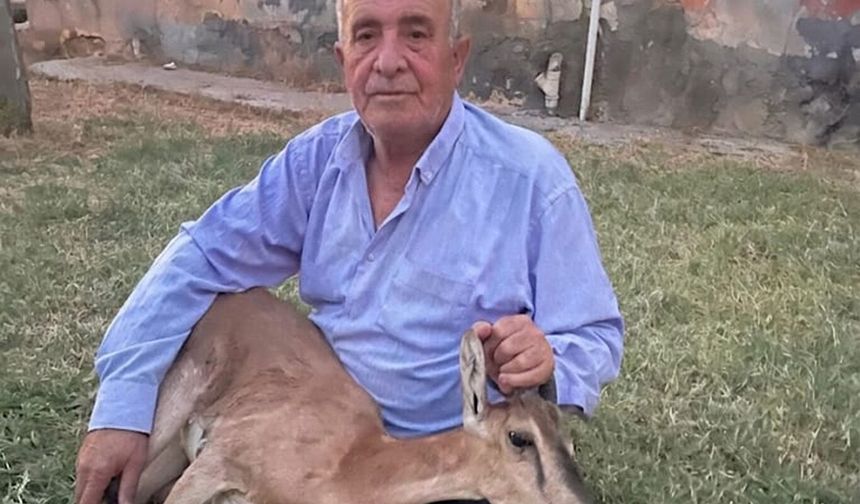 Batman'da 50 Yıl Sonra Dağ Keçisi Heyecanı! Duyarlı Muhtar Yaban Hayatını Kurtardı
