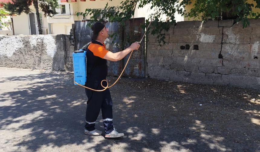 Buğday Biti Ve Üvez Geçici Ve Doğal Bir Süreçtir