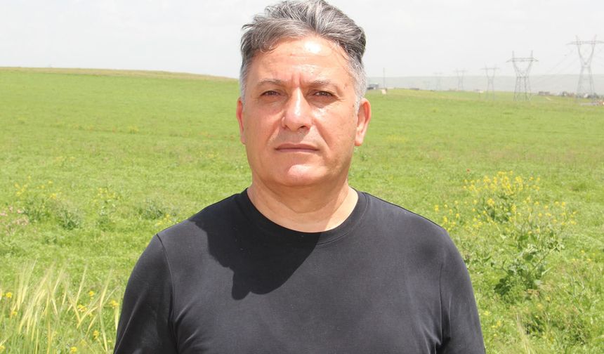 Buğday Fiyatı Çiftçiyi Tatmin Etmedi: TMO’ya Zam Çağrısı