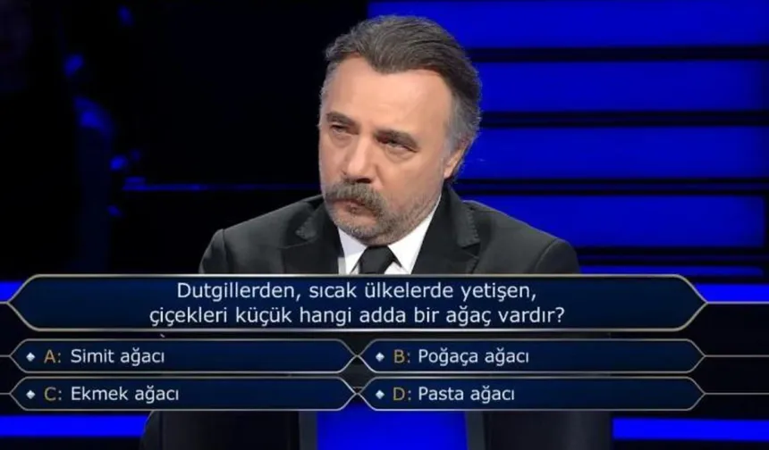 Dutgillerden, sıcak ülkelerde yetişen, çiçekleri küçük hangi adda bir ağaç vardır?