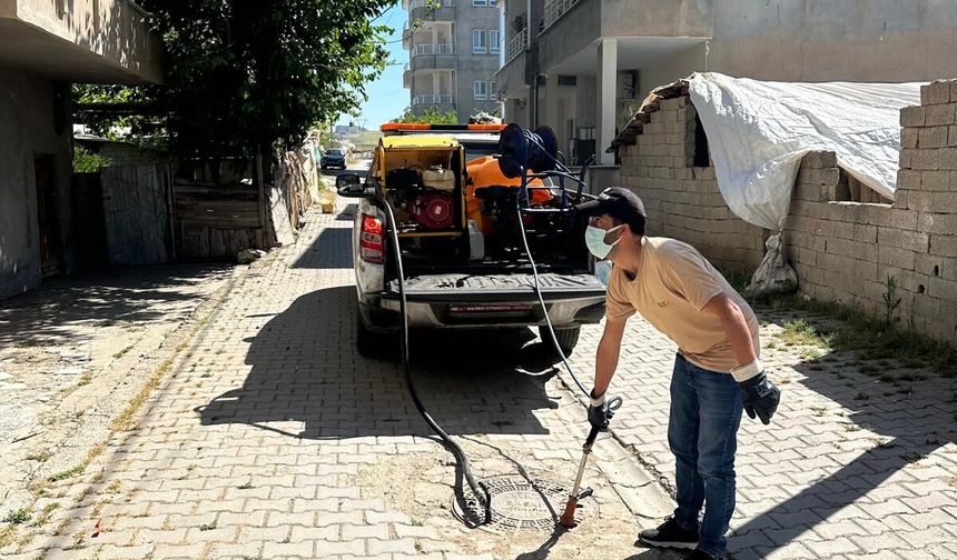 Korik’te Sinek Alarmına Belediye Müdahalesi
