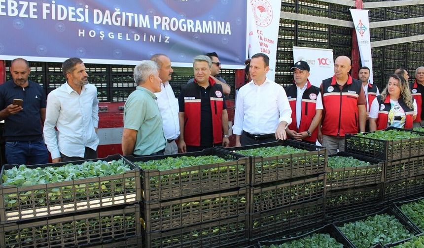 Batman'da 450 Bin Sebze Fidesi Üreticiyle Buluştu