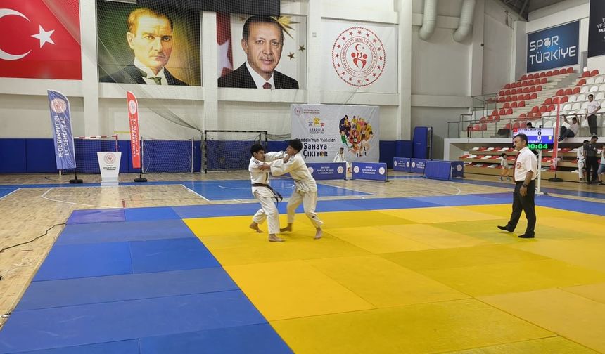 Batman'da Judo Analig Coşkusu