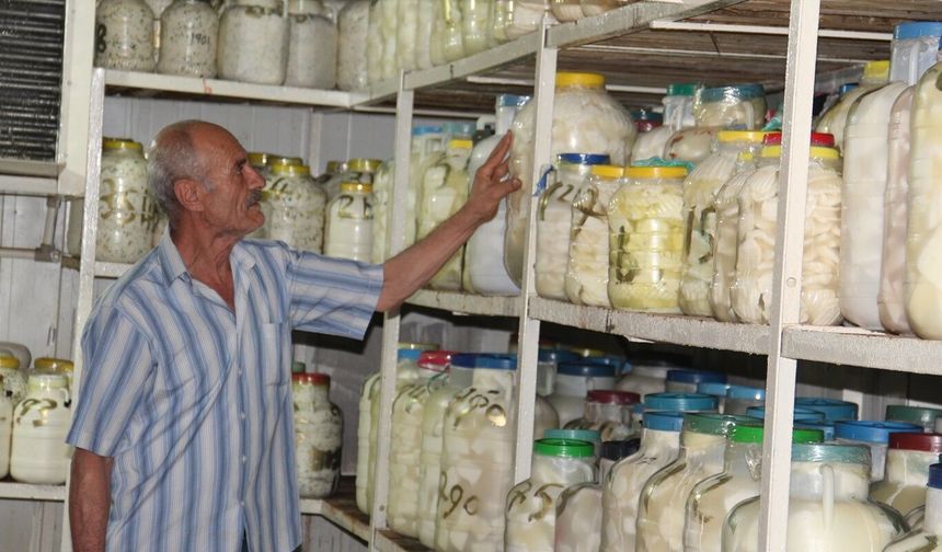 Batman'da Peynirler Soğuk Depolarda Lezzetleniyor