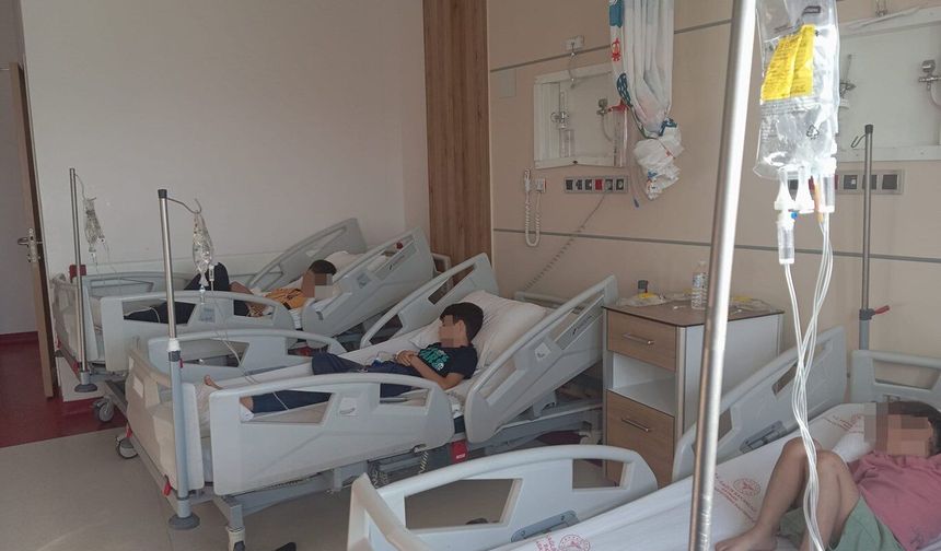 Düğün pastası 150 kişiyi hastanelik etti
