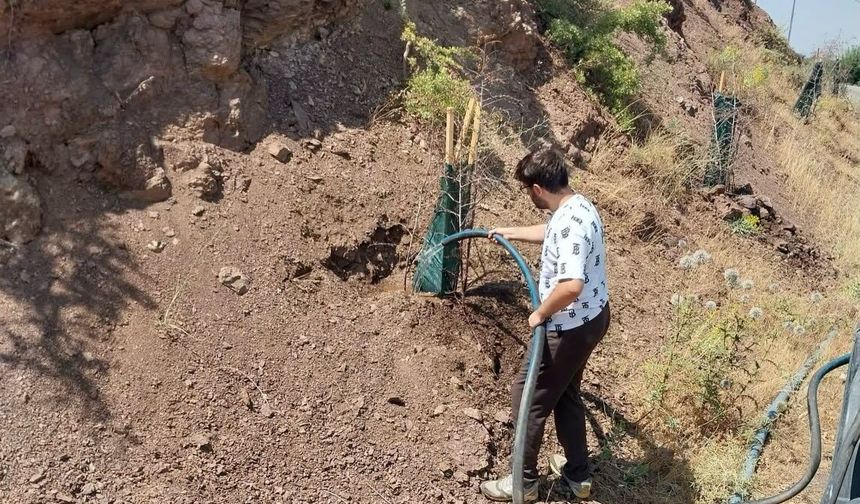 Sason’da Fidanlar Toprakla Buluştu, Sulama Seferberliği Başladı!