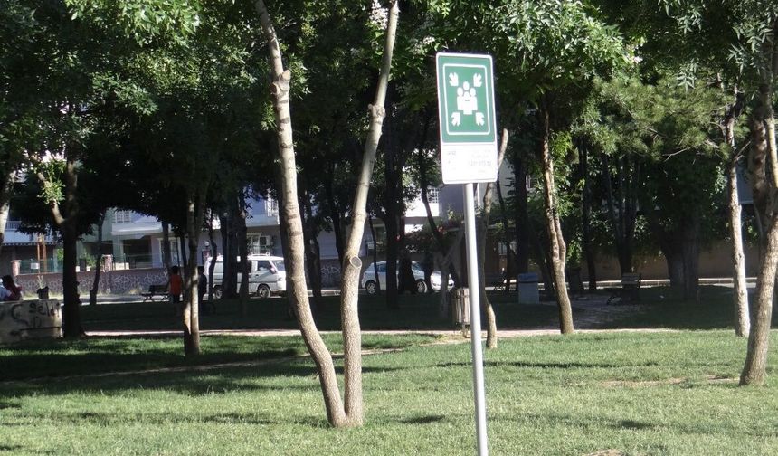 Afet İşleri Ekipleri Güvenli Toplanma Noktaları İçin Sahada