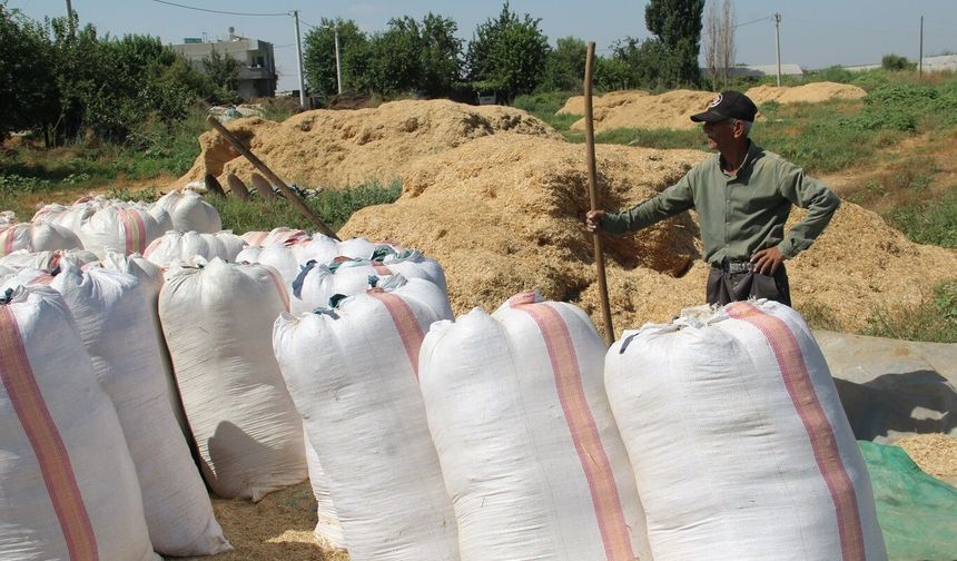Batman'da Çiftçinin Kış Mesaisi Başladı