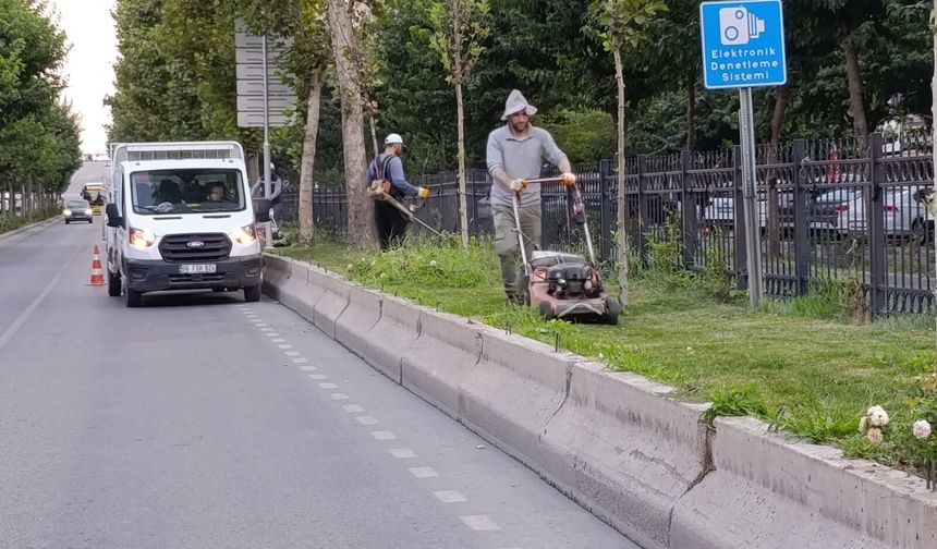 Bulvarda Yabani Ot Temizliği