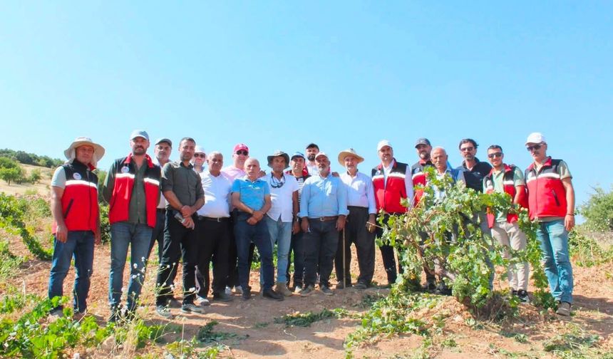 Gercüş Bağlarında “Yeşil Budama” Seferberliği!