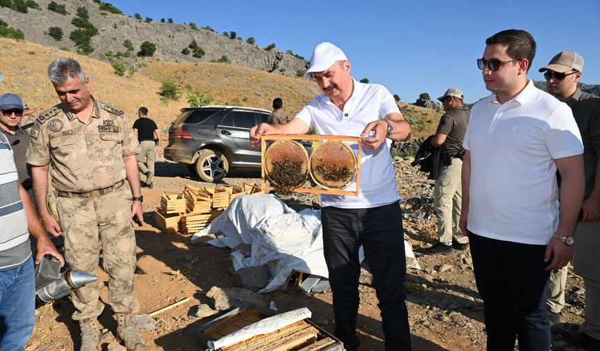 Helkıs Dağı'nda Şifa Hasadı! Sason Sütleğen Balında İlk Büyük Hasat Coşkusu