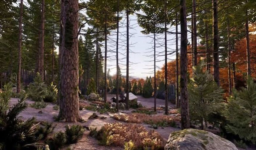 2026 Prologue Go Wayback Sistem Gereksinimleri Nedir?