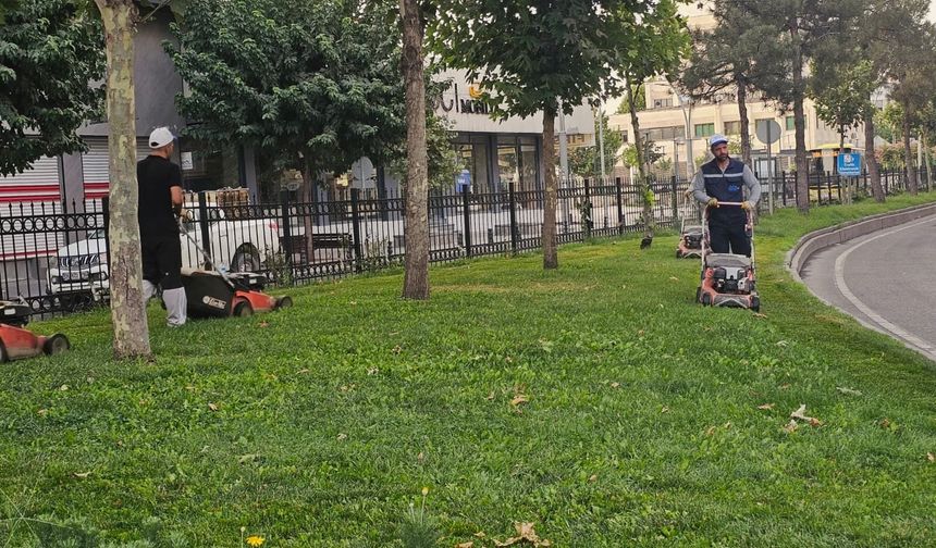 Yeşil Dokuya Estetik Görünüm