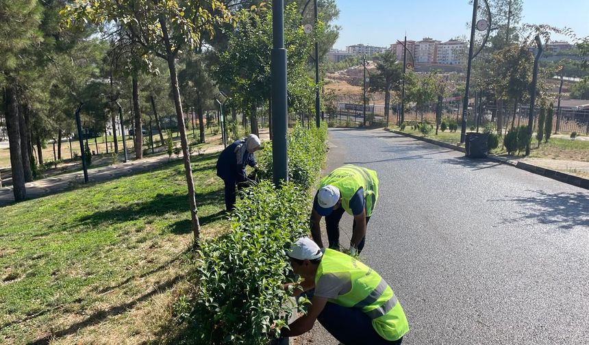 Parklarda eş zamanlı temizlik ve bakım çalışması