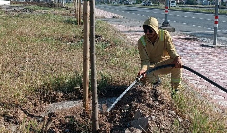 Yeşil Kuşak’ta Sonbahar Bakımı Başladı